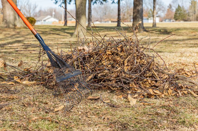 Leaf Clean Up