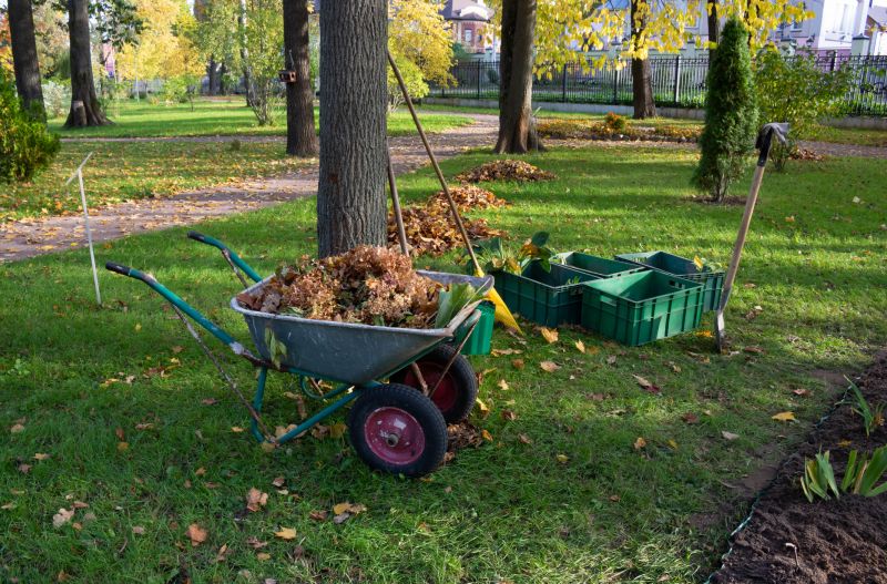 Leaf Clean Up