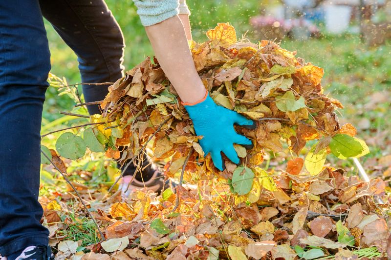 Leaf Clean Up
