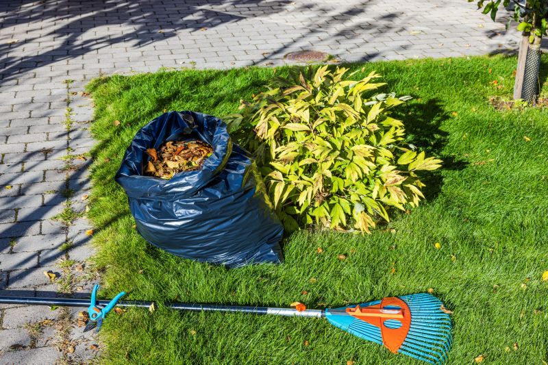 Clean Yard with Leaf Removal