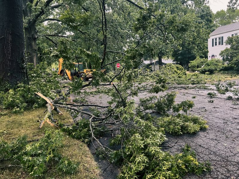 Storm Cleanup Efforts
