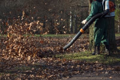 Get Leaf Blowing Service!