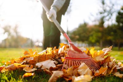 Get Leaf Raking Service!