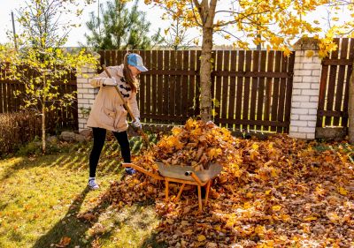 Improve the Appearance of Your Yard!