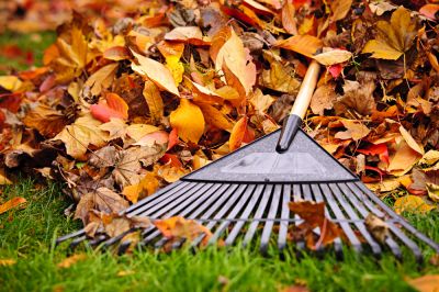 Remove Leaves from Your Home or Business!